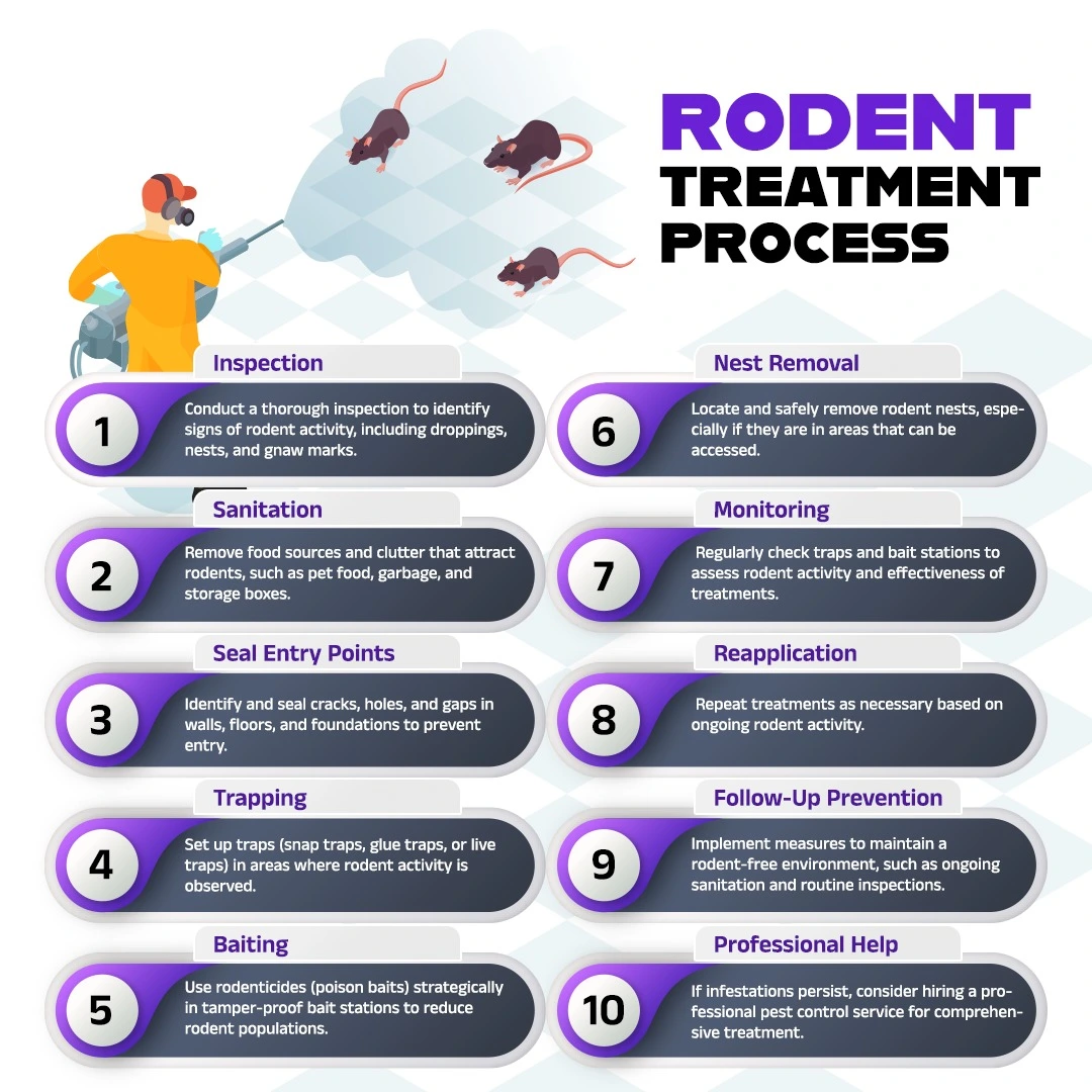 Treatment Process for Rodent Control in Abu Dhabi